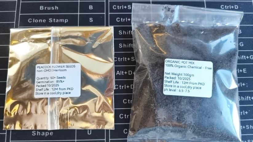 Vibrant Peacock Flower Seeds Pack of 1